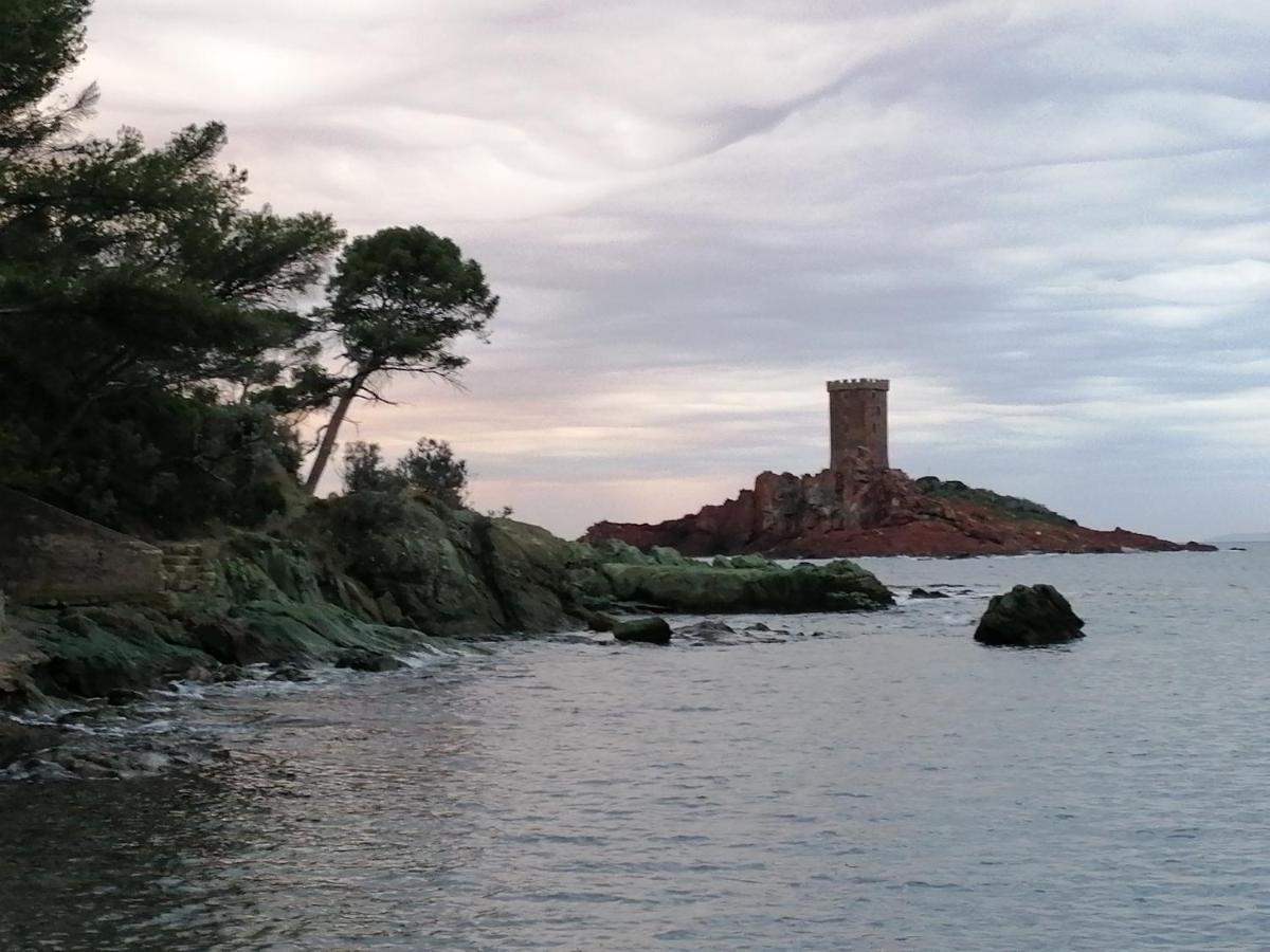 Voilier De Charme A Quai 호텔 Saint-Raphaël 외부 사진